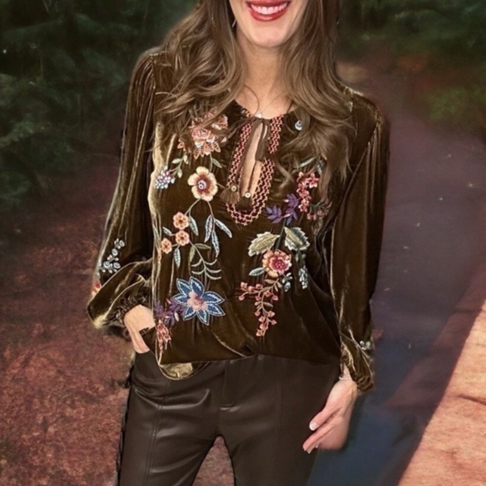 Johnny Was “Ardell” Velvet Heavily Embroidered Blouse Nwt (Oversized)